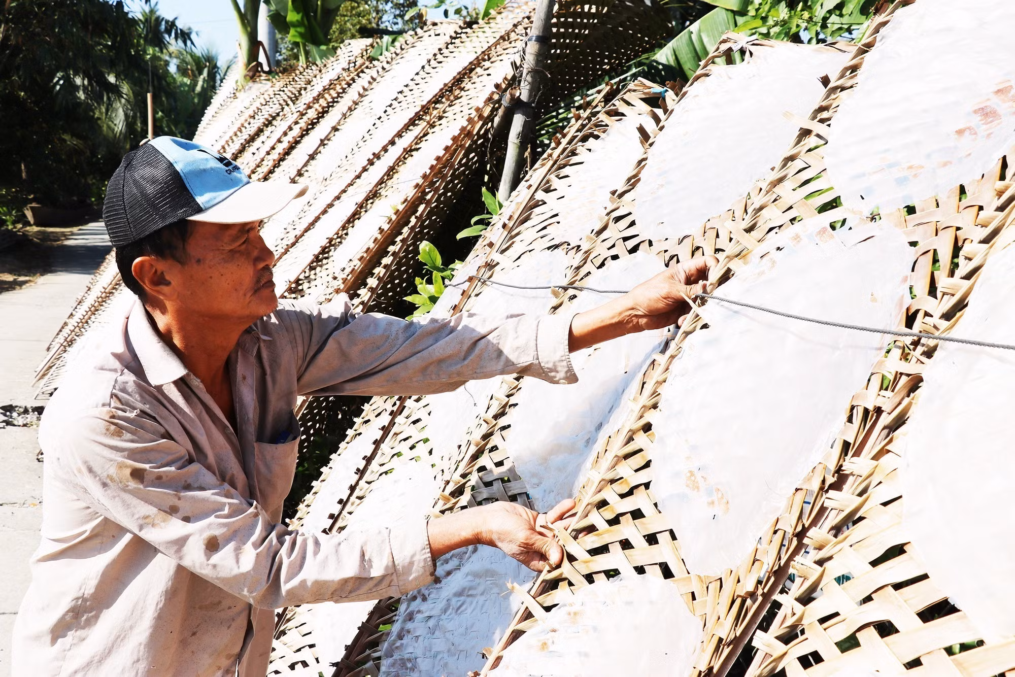 potal-lang-nghe-banh-trang-hau-thanh-tien-giang-nhon-nhip-vao-vu-tet-7807661.jpg