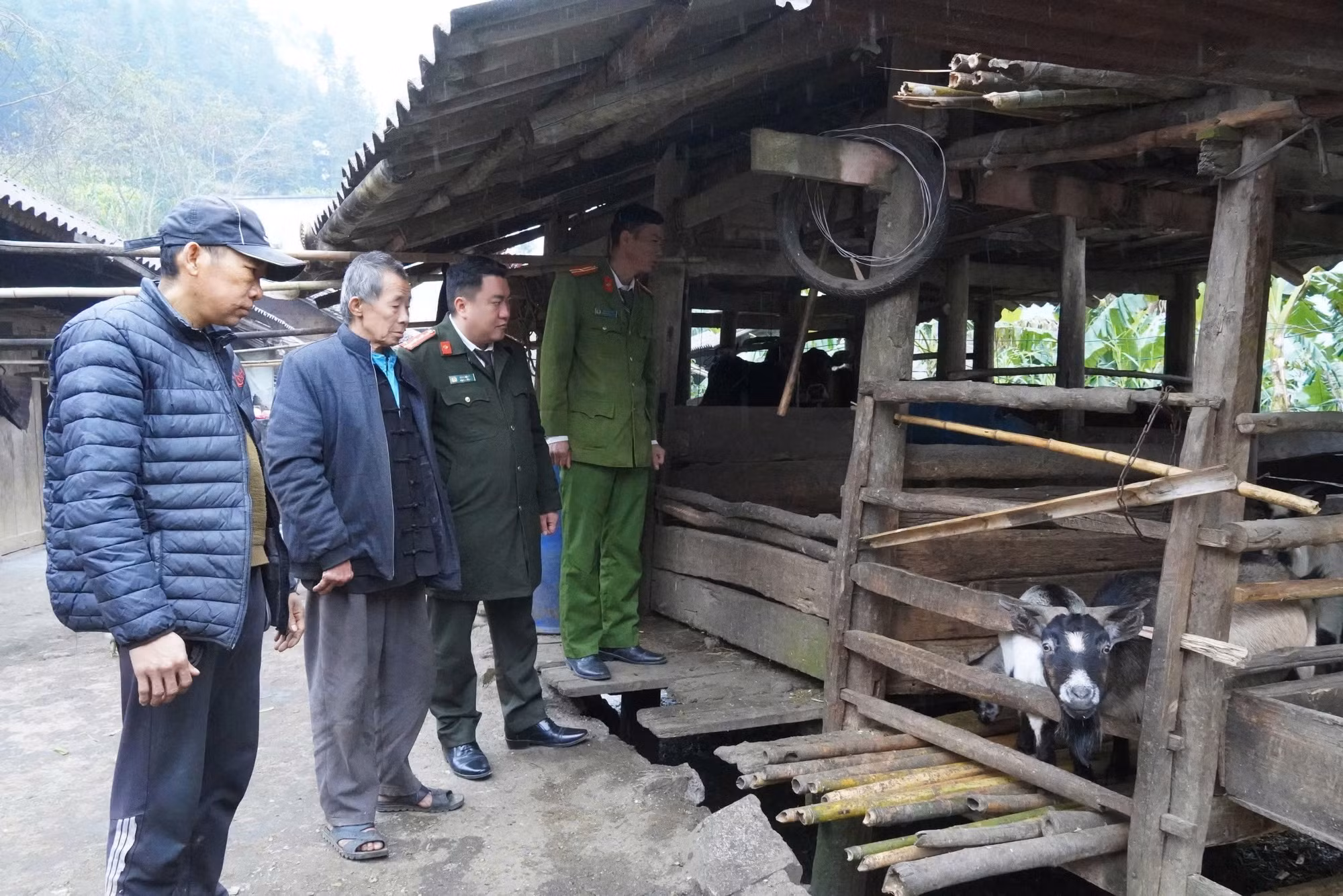 potal-dong-bao-vung-cao-bien-gioi-ha-giang-tro-ve-voi-phong-tuc-truyen-thong-7831558.jpg