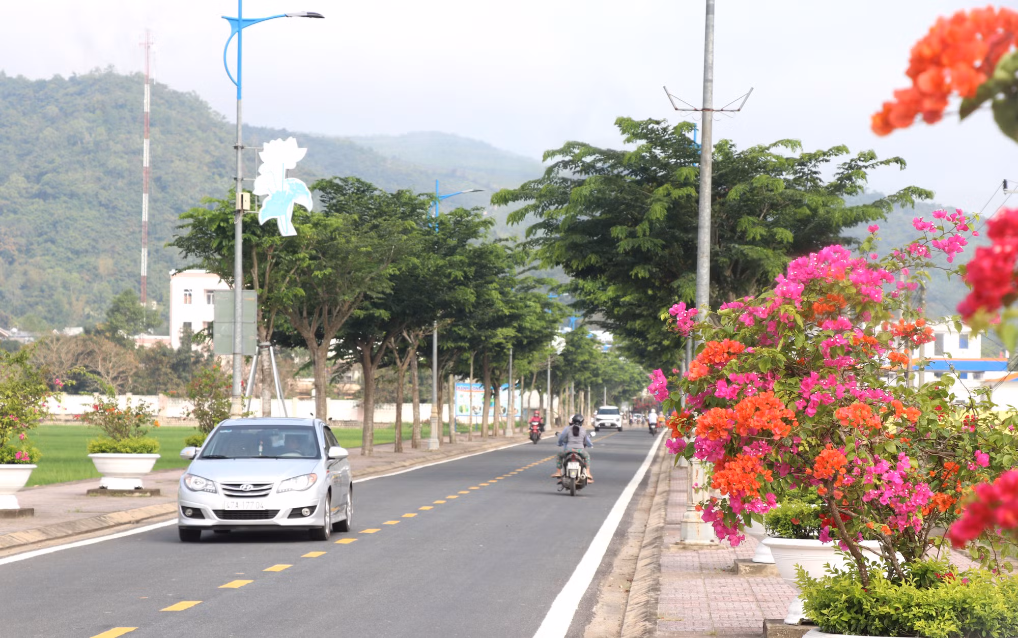 potal-mien-nui-phu-yen-khoi-sac-sau-50-nam-thong-nhat-dat-nuoc-7904112.jpg