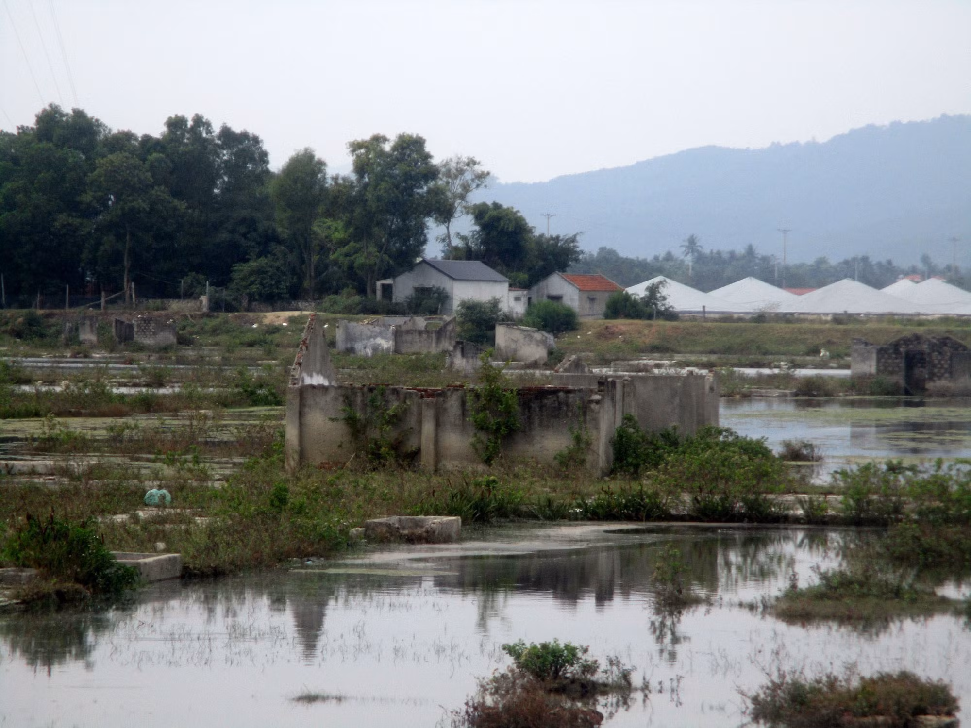 potal-nhieu-diem-dan-thanh-hoa-bo-hoang-dong-muoi-7786497.jpg