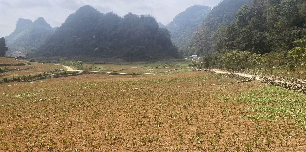 potal-cao-bang-nguoi-dan-o-luc-khu-ha-quang-vat-lon-voi-han-han-7991439.jpg