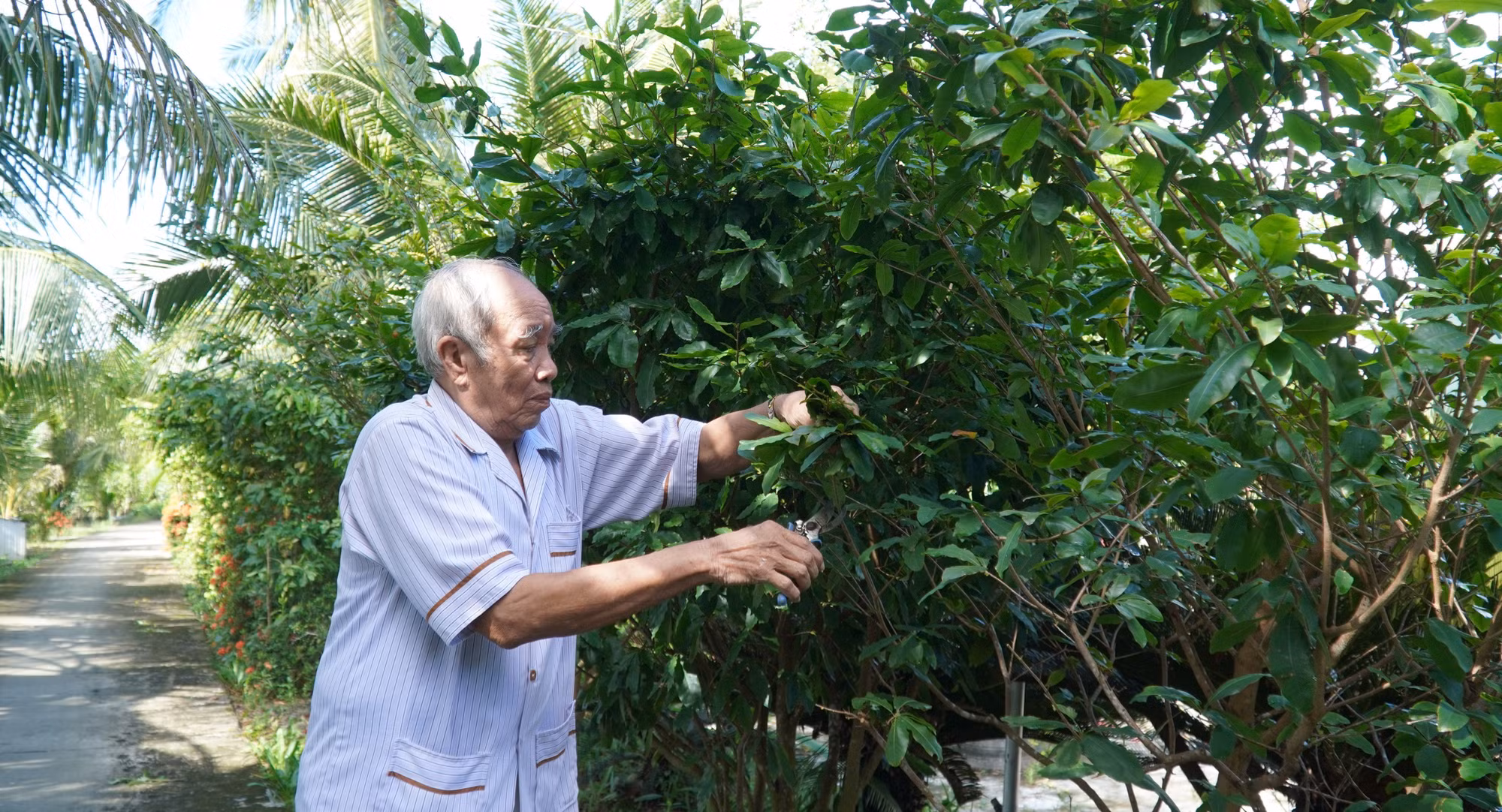 potal-100-so-xa-cua-tinh-kien-giang-dat-chuan-nong-thon-moi-7827793.jpg