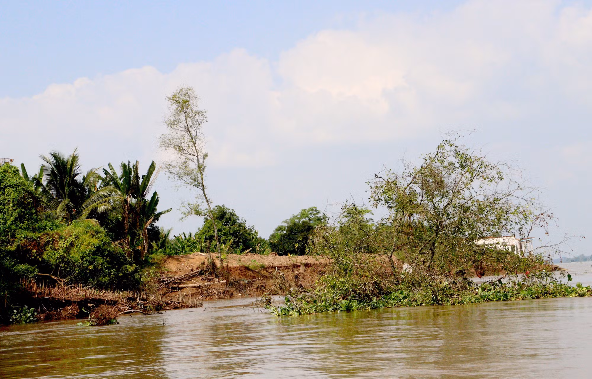 potal-sat-lo-sut-lun-tai-con-thanh-long-vinh-long-gay-anh-huong-den-doi-song-cua-nguoi-dan-7794725.jpg