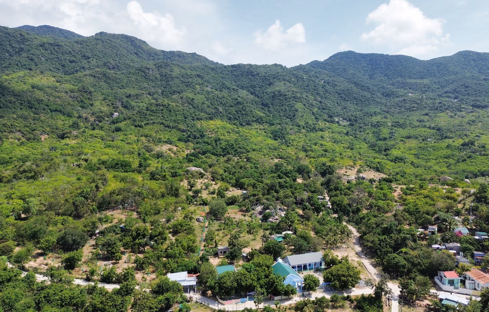 potal-50-nam-thong-nhat-dat-nuoc-nhieu-doi-thay-tren-cac-vung-can-cu-cach-mang-o-ninh-thuan-7975061-1.jpg