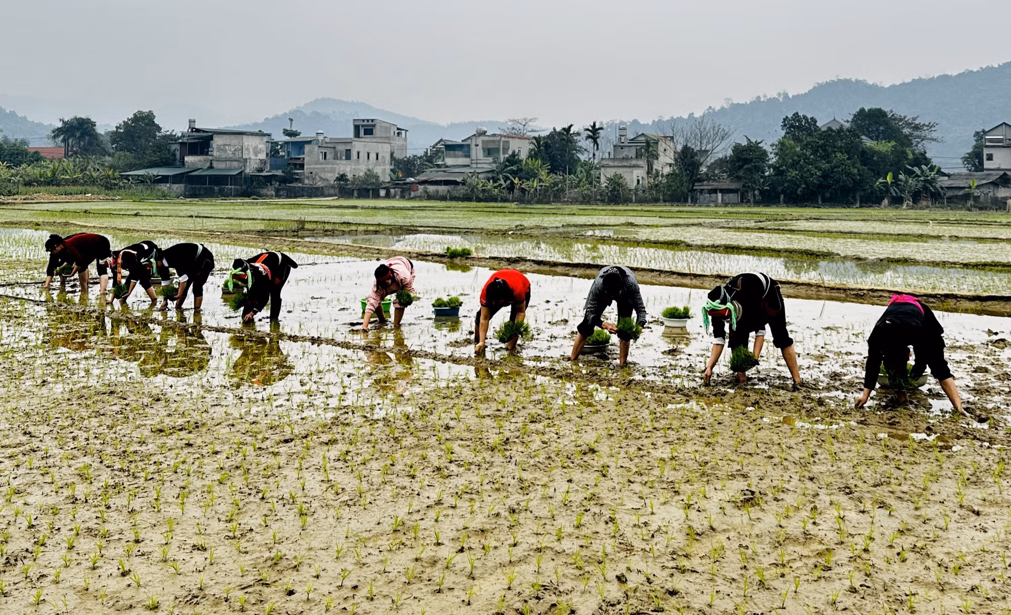potal-tung-bung-khong-khi-le-hoi-long-tong-ha-giang-7852158.jpg