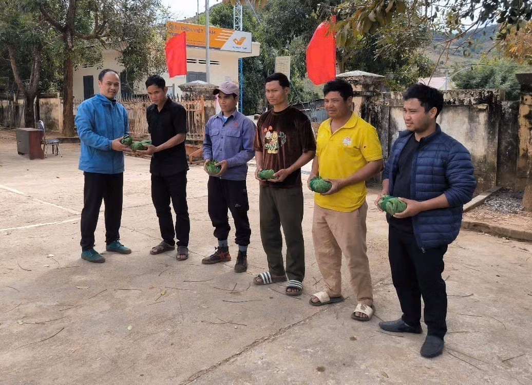 Kon Tum: Cấp phát miễn phí hơn 3.300 cây giống sâm Ngọc Linh cho 40 hộ nghèo