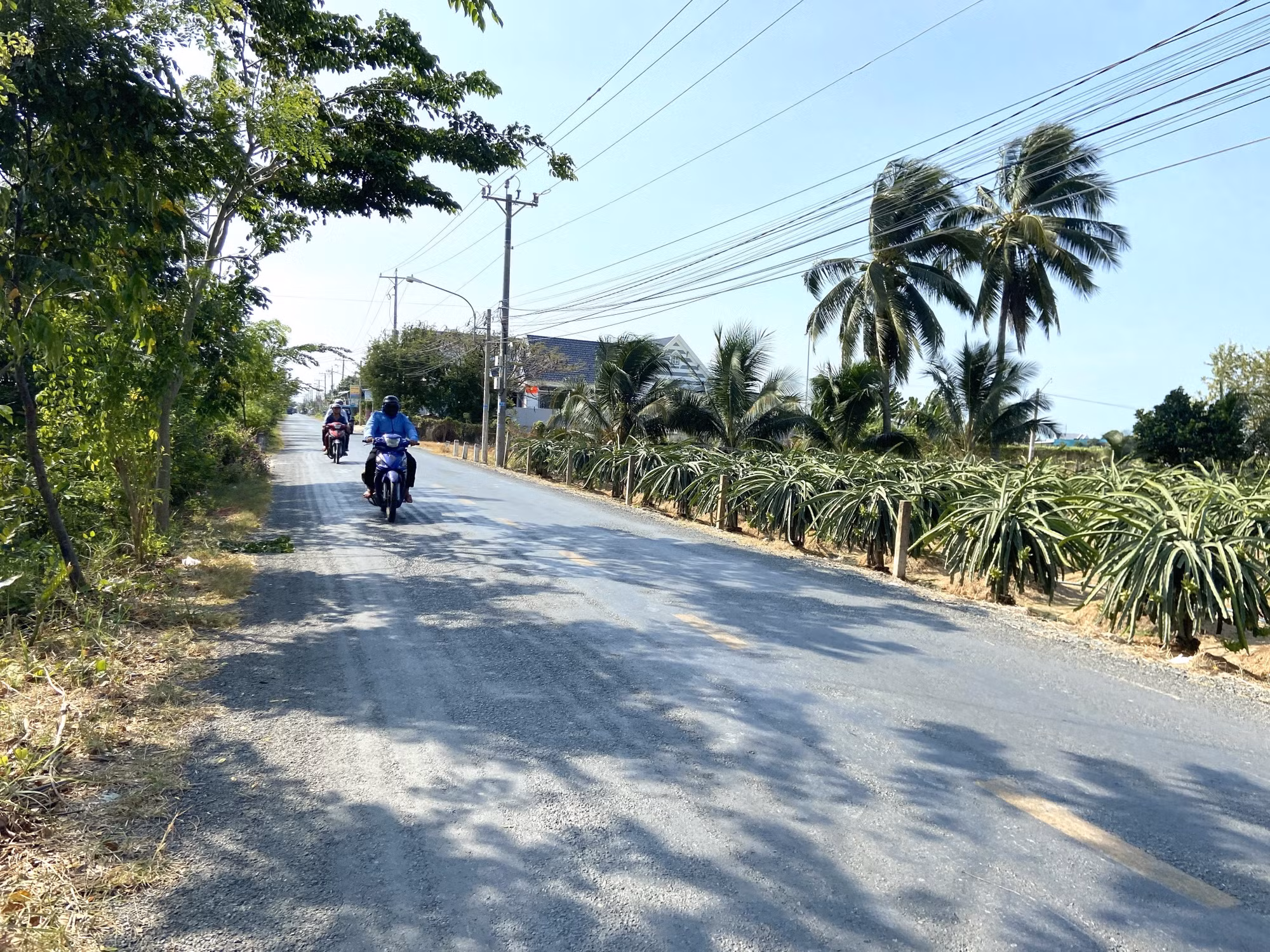 potal-long-an-co-xa-dau-tien-dat-chuan-nong-thon-moi-kieu-mau-7279079.jpg
