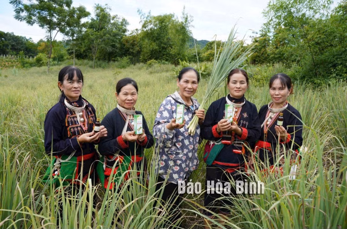hoabinh.jpg