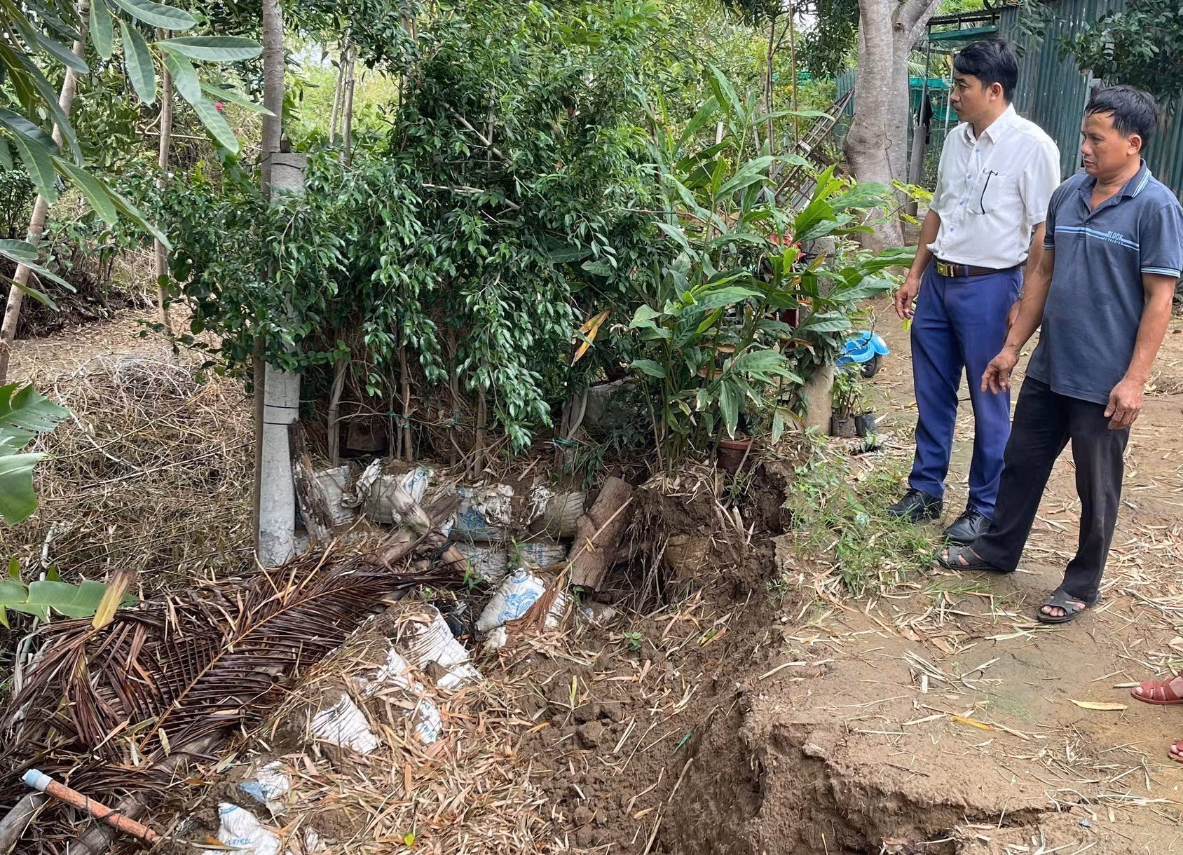 potal-ninh-thuan-can-som-khac-phuc-triet-de-tinh-trang-sat-lo-bo-song-dinh-7776069.jpg