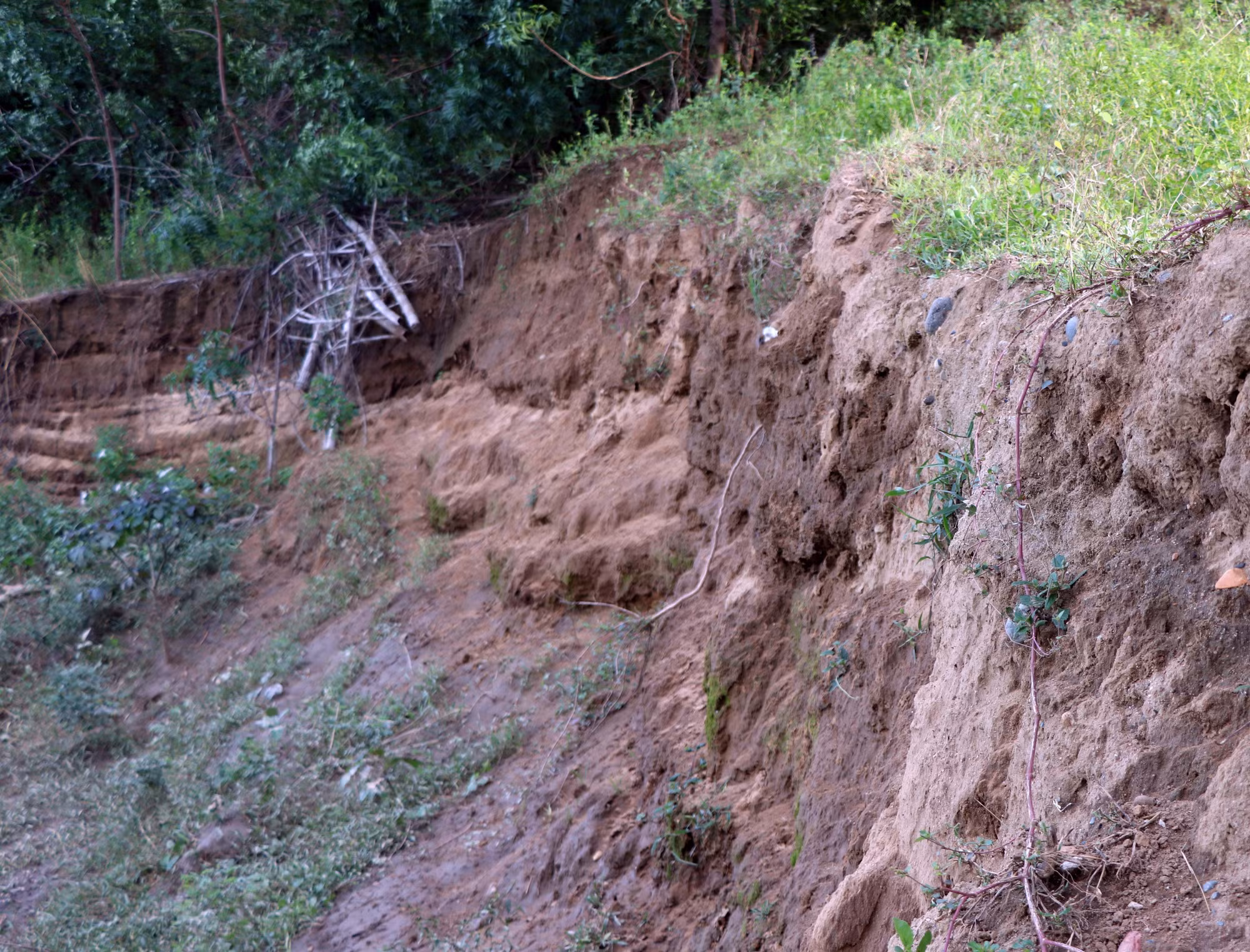 potal-ninh-thuan-can-som-khac-phuc-triet-de-tinh-trang-sat-lo-bo-song-dinh-7776065.jpg
