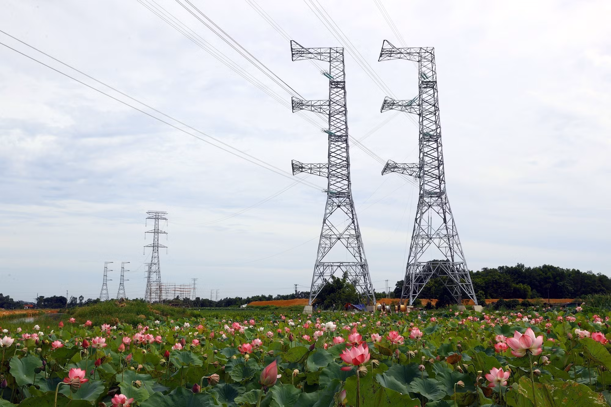 potal-10-su-kien-noi-bat-cua-viet-nam-nam-2024-do-ttxvn-binh-chon-su-kien-8-hoan-thanh-than-toc-cong-trinh-500kv-mach-3-7774126.jpg