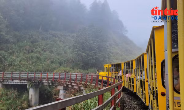 Đoàn tàu khai thác gỗ mang ký ức rừng già đến du khách