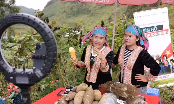 Phổ cập thương mại điện tử, mở đường cho đặc sản đến người tiêu dùng
