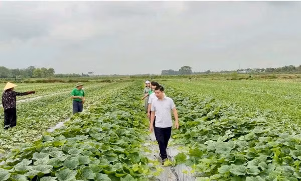 Bốn giải pháp phát triển khoa học công nghệ các tỉnh miền núi phía Bắc