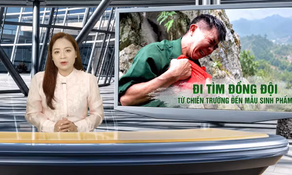 Tin tức TV: Đi tìm đồng đội - Từ chiến trường đến mẫu sinh phẩm