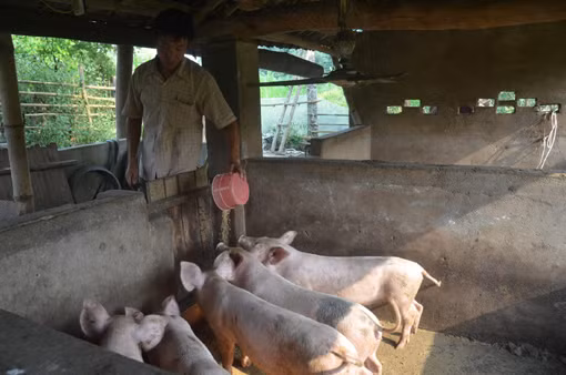 Hầm biogas giúp đồng bào cải thiện chất lượng cuộc sống ảnh 2