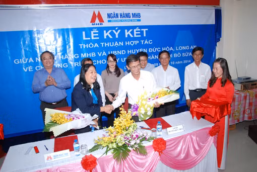 Triển khai chương trình cho vay chăn nuôi bò sữa ảnh 1