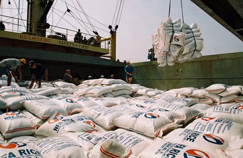 Xuất khẩu gạo năm 2015 sẽ khó khăn ảnh 1
