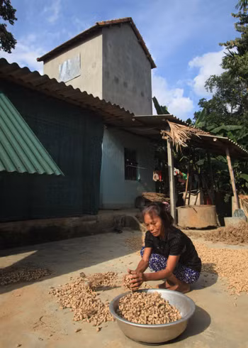 Giúp dân nghèo miền Trung ứng phó với bão, lũ ảnh 1