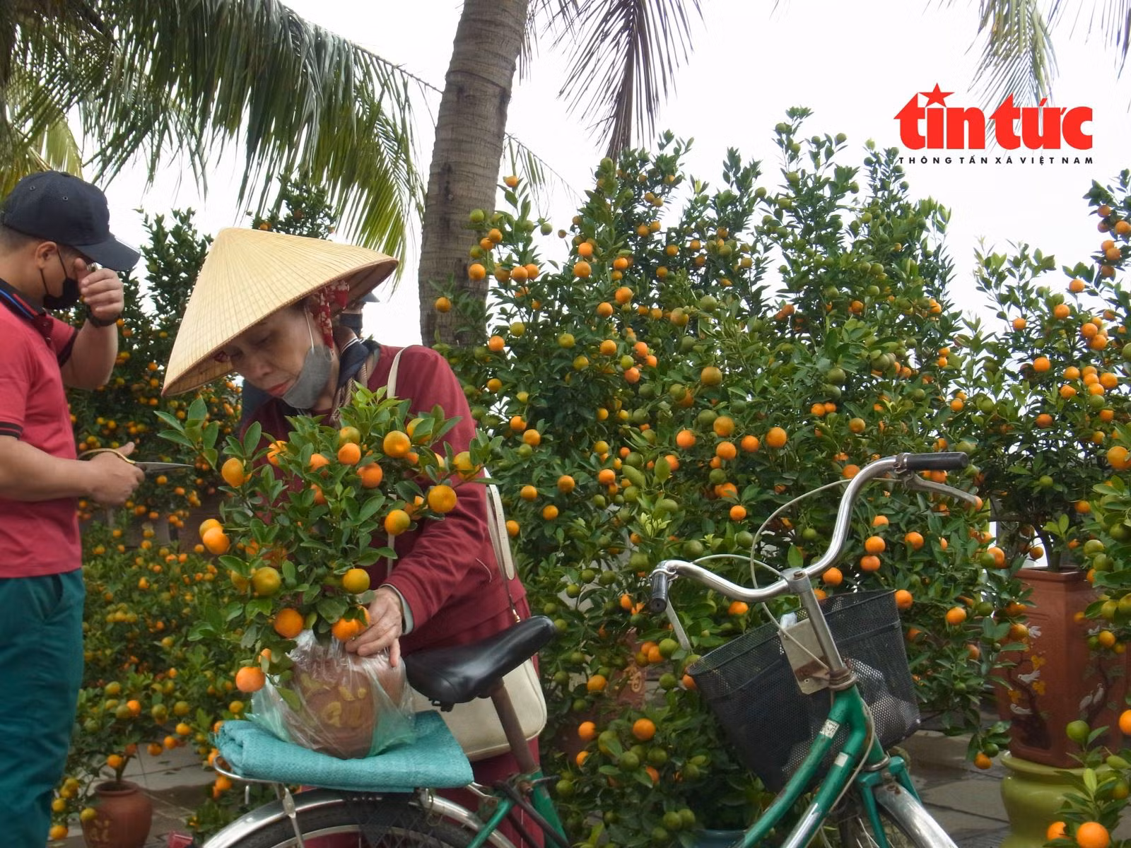 Chú thích ảnh