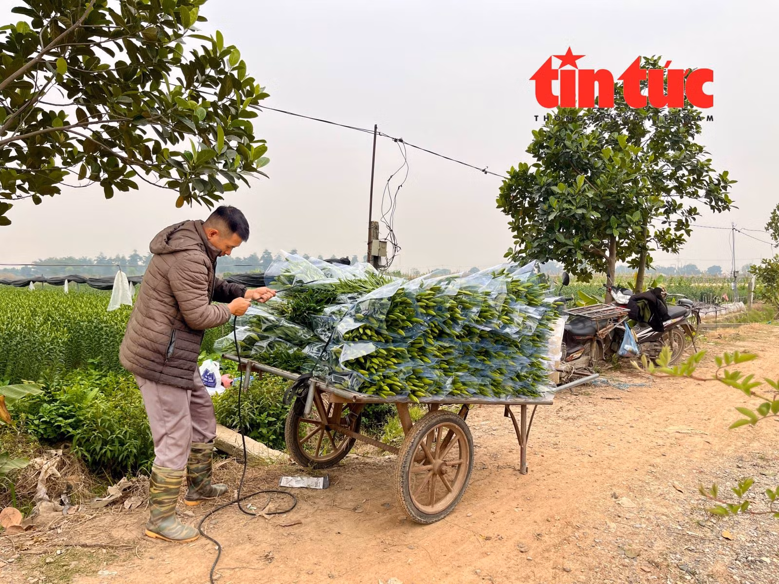 Chú thích ảnh