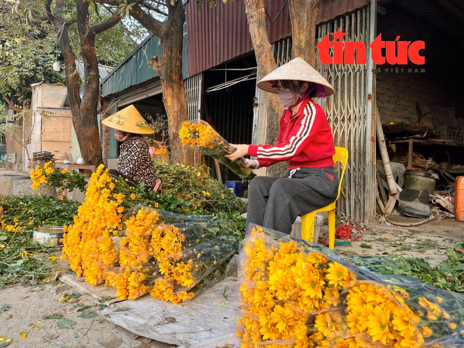 Chú thích ảnh