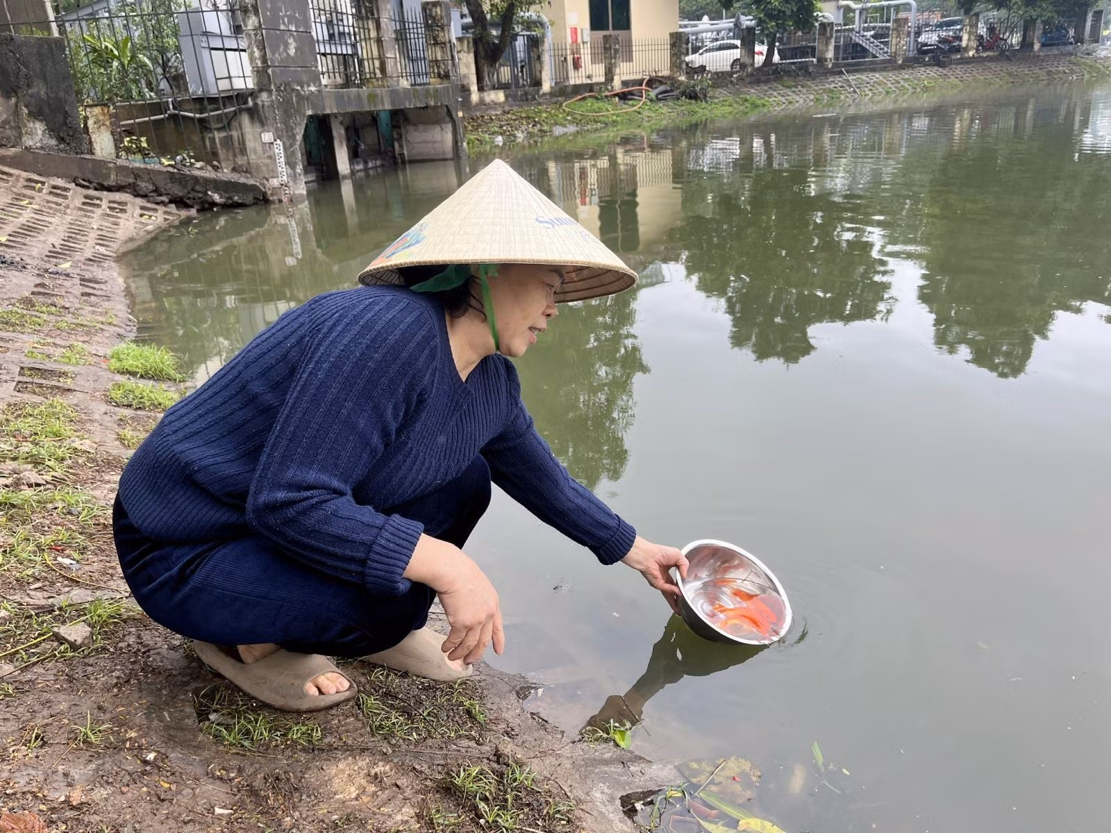 Chú thích ảnh