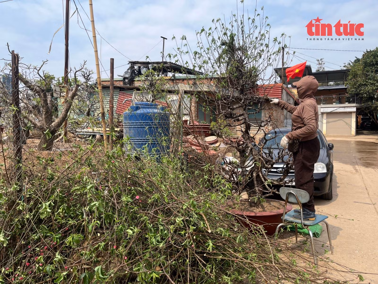 Chú thích ảnh