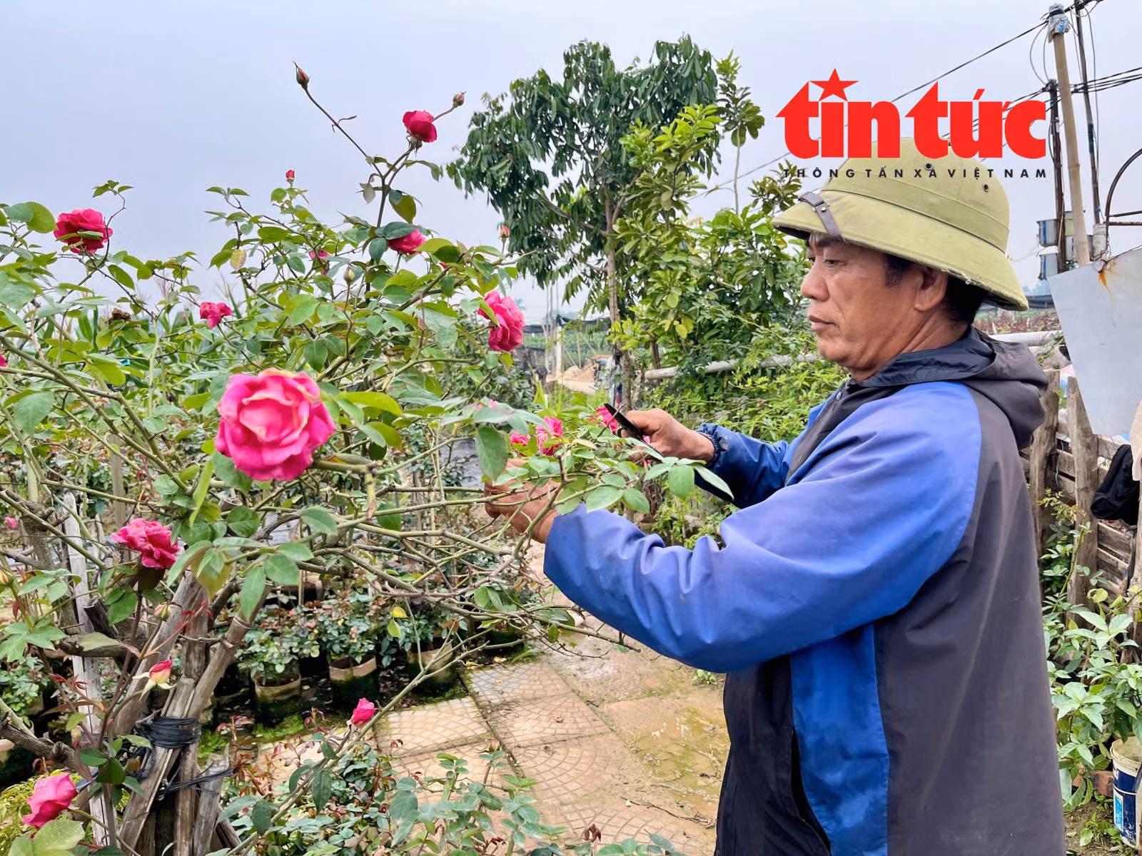 Chú thích ảnh