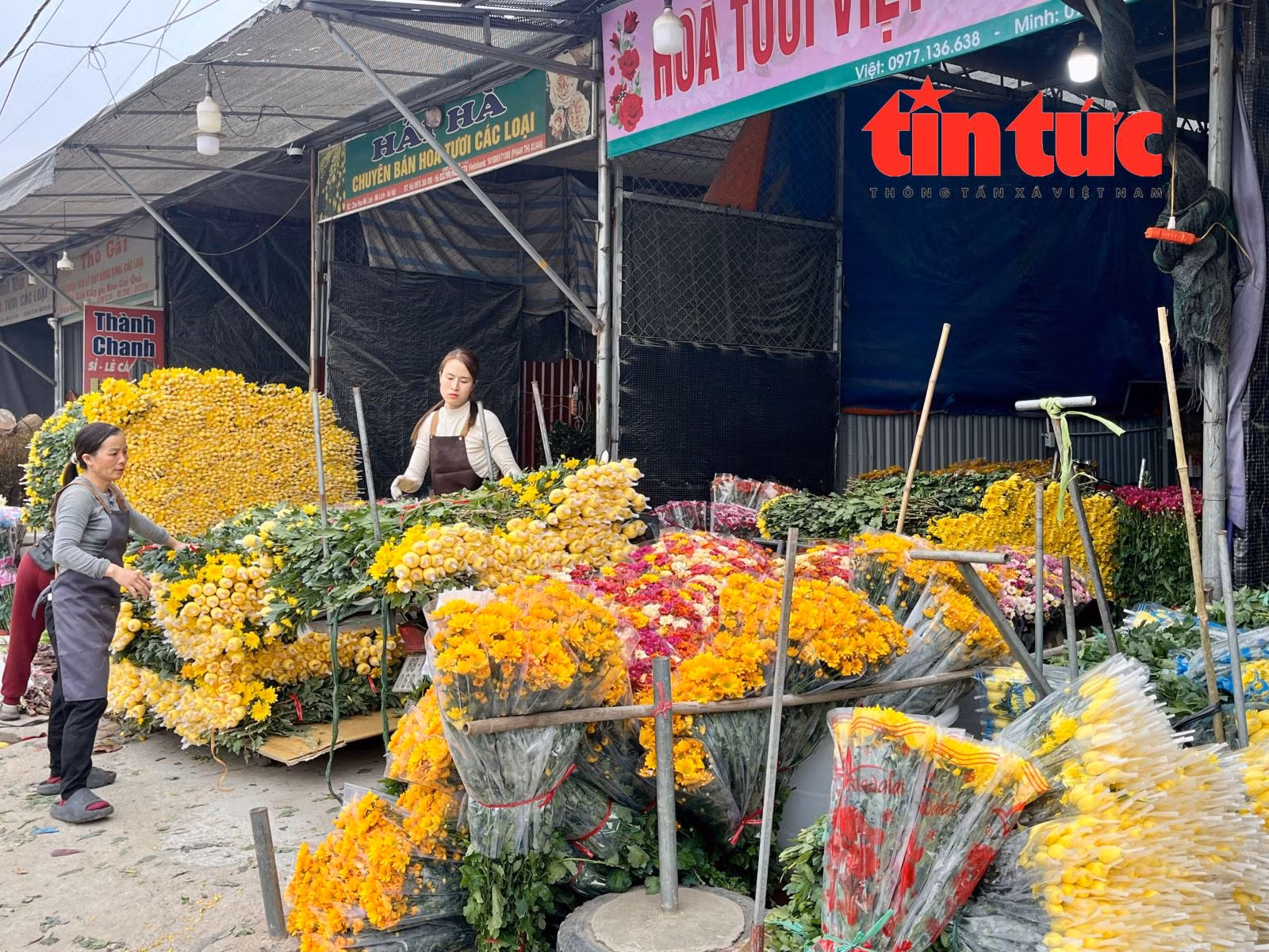 Chú thích ảnh