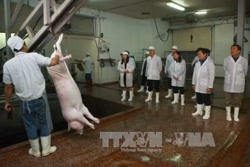 Ra mắt kênh phát thanh về sức khỏe và an toàn thực phẩm đúng ngày 27/2 ảnh 1