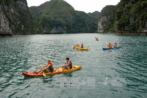 Đình chỉ dịch vụ chèo thuyền kayak trên vịnh Hạ Long của 6 đơn vị chưa ký hợp đồng ảnh 1