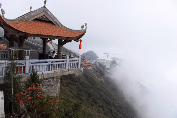 Lễ hội hoa đỗ quyên lần đầu tiên trên đỉnh Fansipan ảnh 4