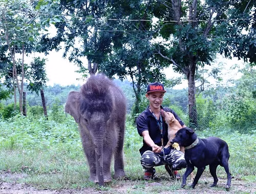 Lạc mẹ từ lúc sơ sinh, chú voi xem người chăm sóc là người thân ảnh 3