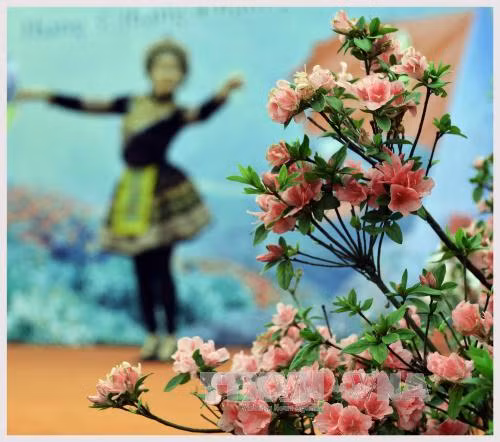 Rực rỡ 'Lễ hội hoa đỗ quyên' trên đỉnh Fansipan ảnh 2