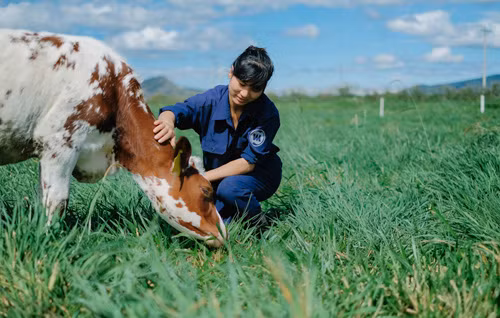 Tham gia hành trình Vinamilk Organic Farm Tour ảnh 1
