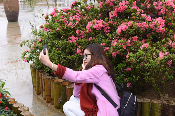 Lễ hội hoa đỗ quyên lần đầu tiên trên đỉnh Fansipan ảnh 8