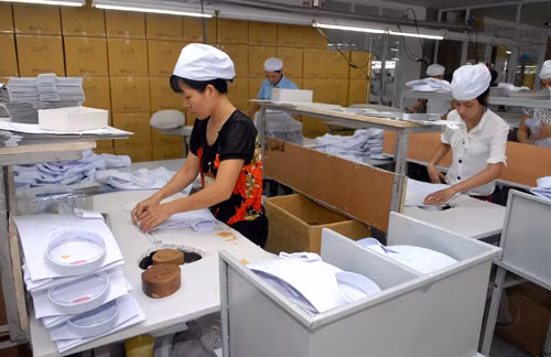 Nhiều đơn hàng xuất khẩu cho năm 2015 ảnh 1