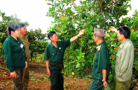Góp phần cho 'Bình yên Tây Nguyên' ảnh 2