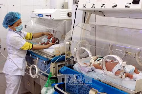TP.HCM có tổng tỷ suất sinh thấp nhất cả nước ảnh 1