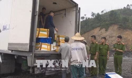 Quảng Ninh tiêu hủy hơn 3,5 tấn cá nhập lậu ảnh 1