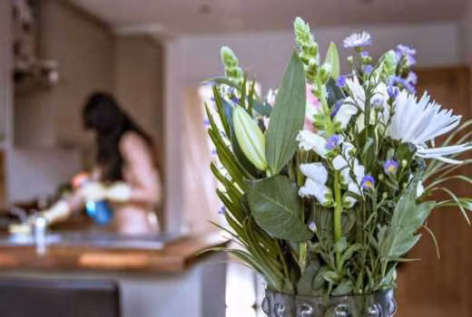 Khách hàng khó cưỡng lại dịch vụ người giúp việc 'khỏa thân' tại Anh ảnh 1