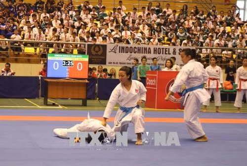 Việt Nam giành 29 Huy chương Vàng tại Giải Vô địch Karate Đông Nam Á ảnh 1