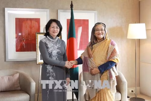 Phó Chủ tịch nước Đặng Thị Ngọc Thịnh gặp Thủ tướng Bangladesh ảnh 1