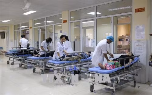 Điều trị, hỗ trợ kịp thời 12 du khách nước ngoài nghi ngộ độc thức ăn ảnh 1