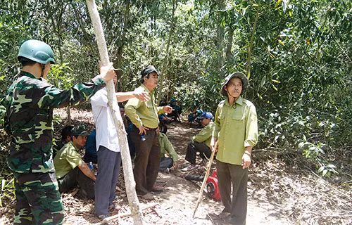 Bình Thuận: Nguy cơ cháy rừng cấp cực kỳ nguy hiểm ảnh 1