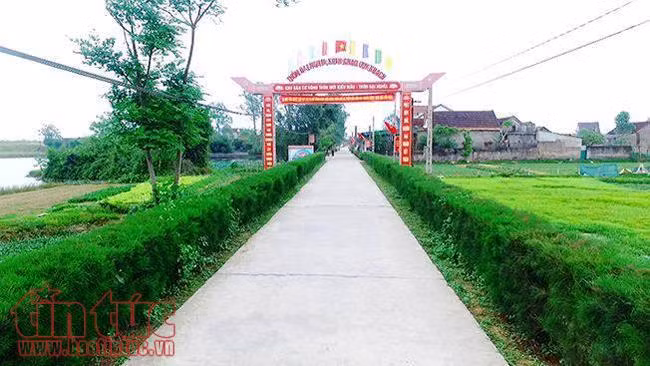 Chùm ảnh vùng quê trù phú, an lành ở Hà Tĩnh ảnh 1