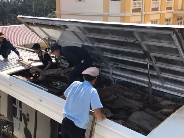 Chi cục Hải quan cửa khẩu Nam Giang thu giữ tổng cộng hơn 3,5 tấn gỗ trắc ảnh 1