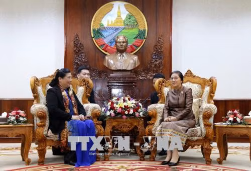 Tăng cường truyền thống quan hệ hợp tác hữu nghị giữa Việt Nam - Lào ảnh 1