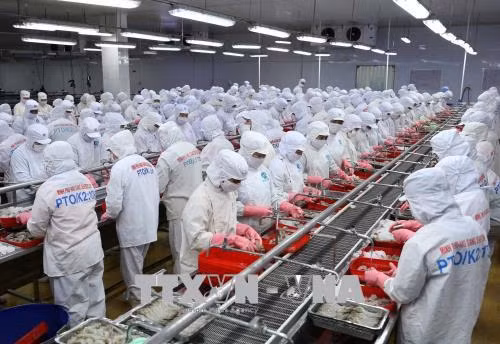 Xuất khẩu nông lâm thủy sản đạt 12,3 tỷ USD ảnh 1